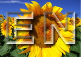en-2