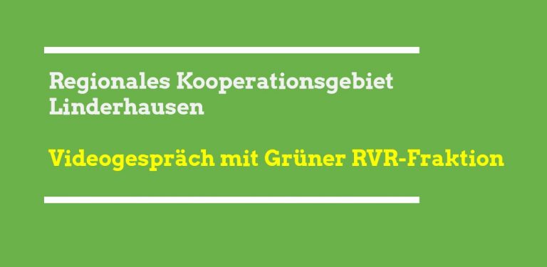 Austausch GRÜNE Schwelm und RVR